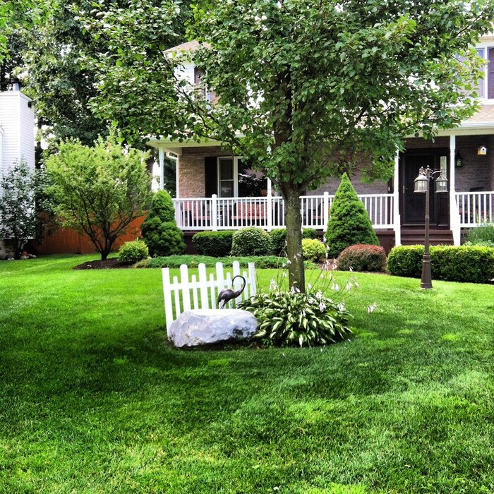 Lawn Dawg