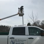 Parking lot lights