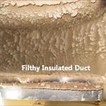 Polluted air ducts