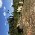 Brush clearing