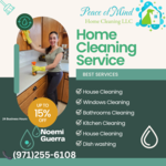 kitchen cleaning