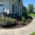 Garden bed clean up