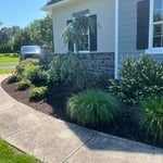 Garden bed clean up