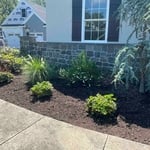 Garden bed clean up