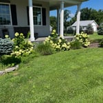 Garden bed clean up