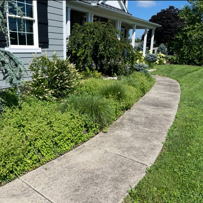 Garden bed clean up
