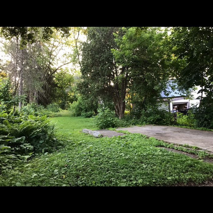 Backyard transformation