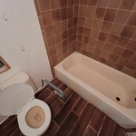 Deep Clean in a bathtub