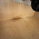 Sewer Water Damage
