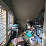Organization