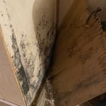 Mold Behind Wall