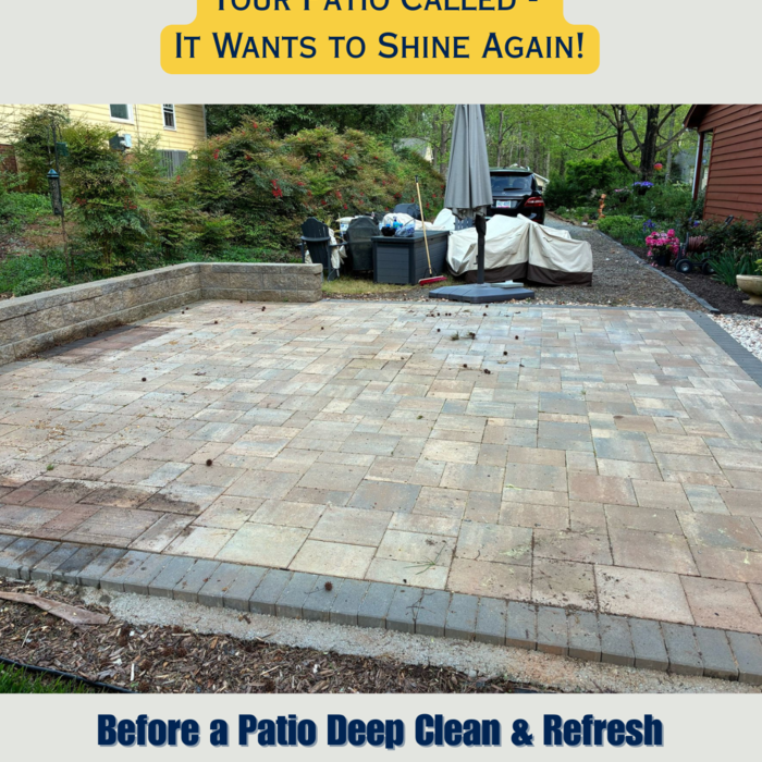 Patio Deep Clean