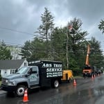 Tree Removal