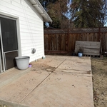 Backyard Cleanout