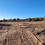 Land Clearing