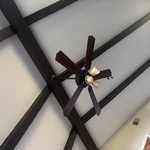 New Fan