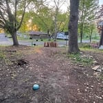 Full yard clean up