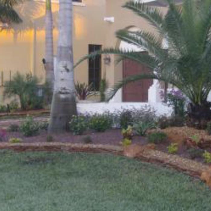 Front Yard