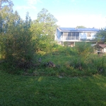 Covington clearing