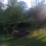 Covington clearing