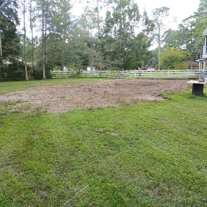 Covington clearing