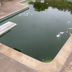 Pool Rescue!