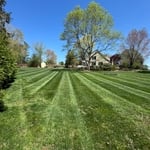 General Lawn Mowing