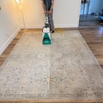 Carpet Cleaning