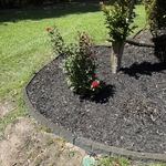 Flower Bed