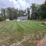Weekly mowing