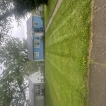 Weekly mowing