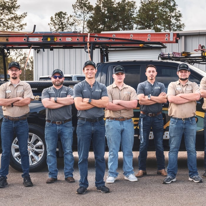 Meet the team