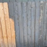 Fence Staining