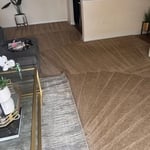 Carpet Cleaning