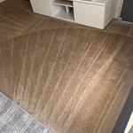 Carpet Cleaning