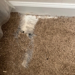 Carpet repair