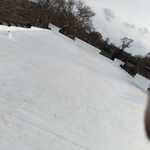 TPO/Flat Roof