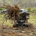 Stump Removal