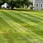 Lawn mowing