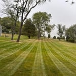 Lawn mowing