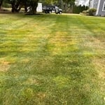 Lawn mowing