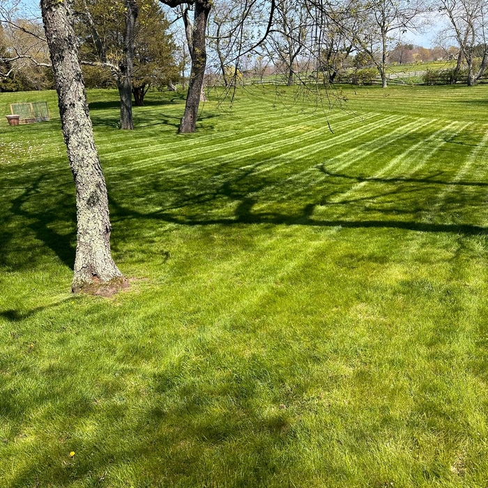 Lawn mowing