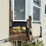 Rot damage (before )