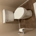 Toilet flange repair