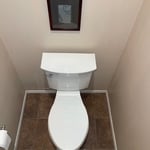 Toilet flange repair