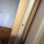 Bedbug removal