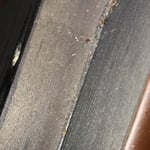 Bedbug removal