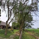 Willows Englewood ohio