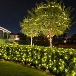 Home Holiday Lights