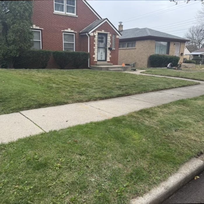 Leaf removal